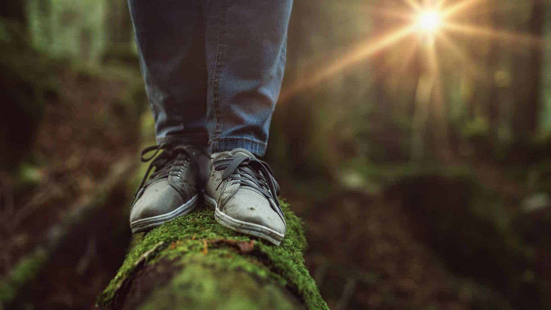 Tips to Rebuild Self-Trust after the Death of a Loved One
